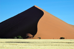 Namibie - Namib Naukluft Park