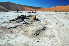 Namibie - Namib Naukluft Park