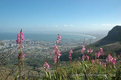 JAR - Kapské Město