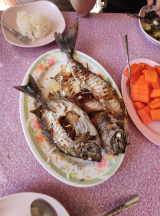 Ostrov Samet | Rybička s rýží a papája - snídaně králů :)